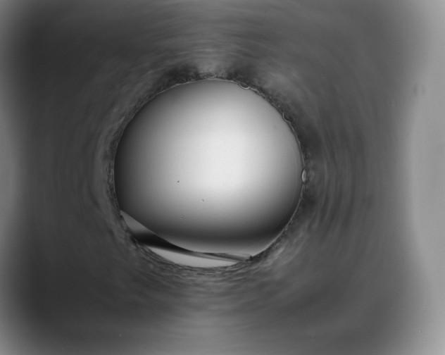 X0000088701249200706141424