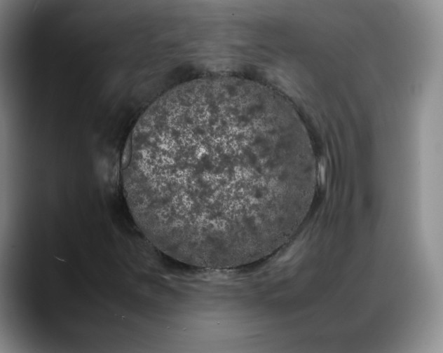 X0000088701251200706141424