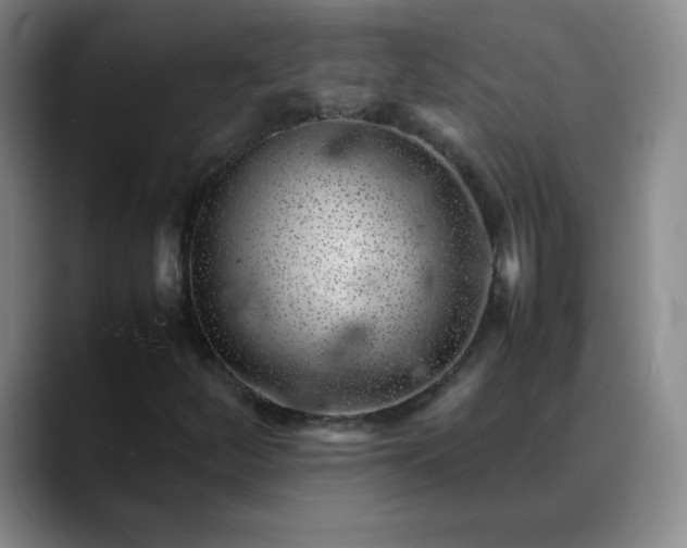 X0000088701252200706141424