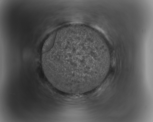 X0000088701255200706141424