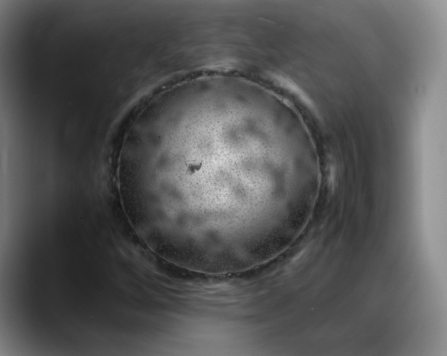 X0000088701256200706141424