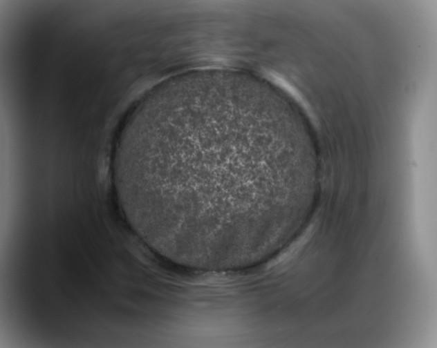 X0000088701259200706141424
