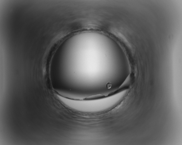 X0000088701261200706141424