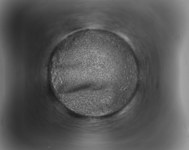 X0000088701263200706141424
