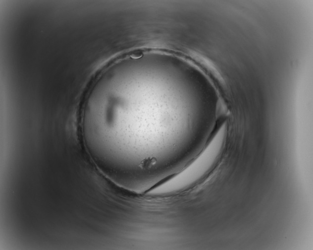 X0000088701264200706141424