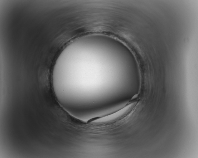 X0000088701265200706141424