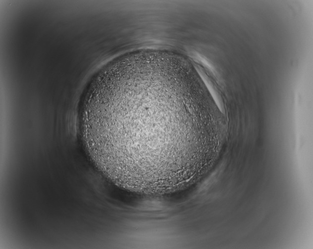X0000088701267200706141424