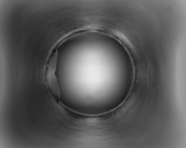 X0000088701268200706141424