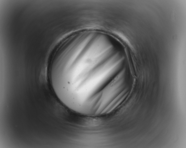 X0000088701270200706141424
