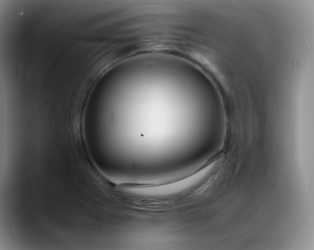 X0000088701273200706141424