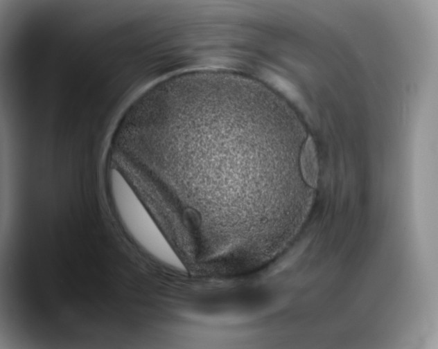 X0000088701275200706141423