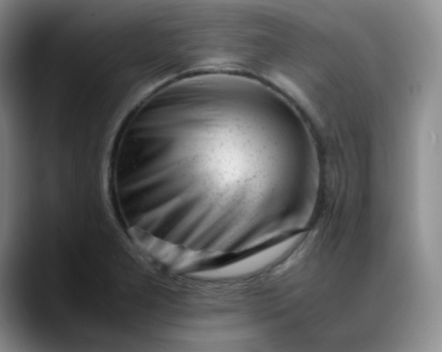 X0000088701277200706141423