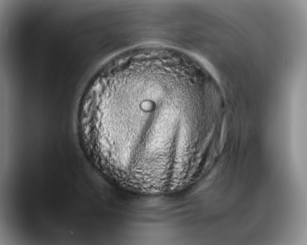 X0000088701279200706141423