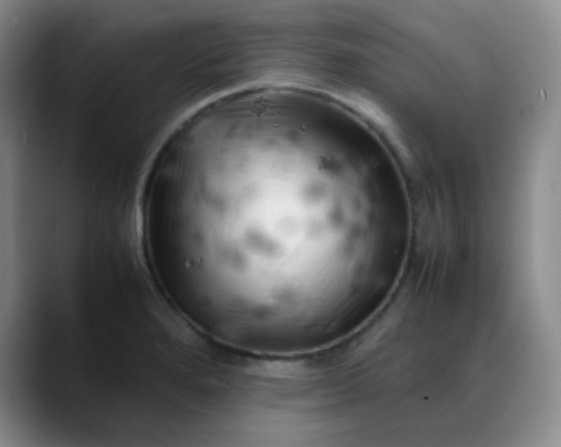 X0000088701280200706141423