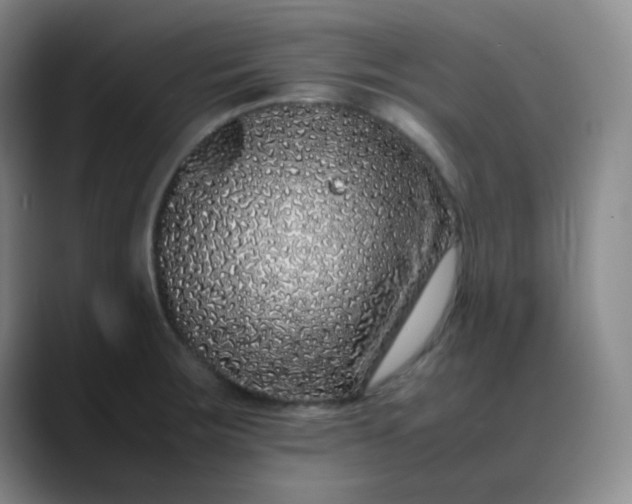 X0000088701283200706141423