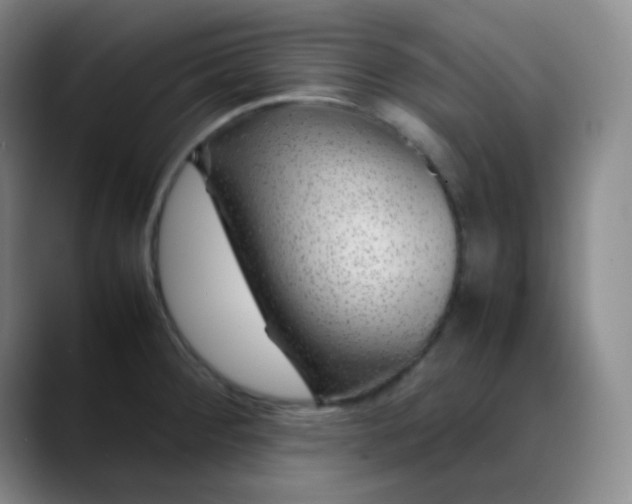 X0000088701284200706141423