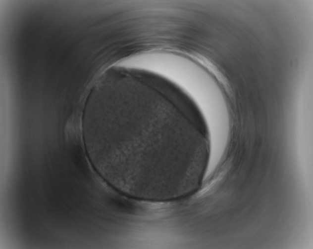 X0000088701289200706141423