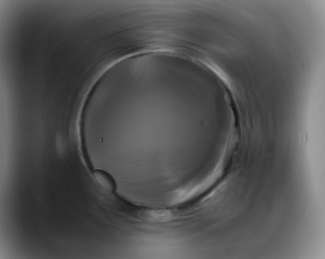 X0000088701291200706141423