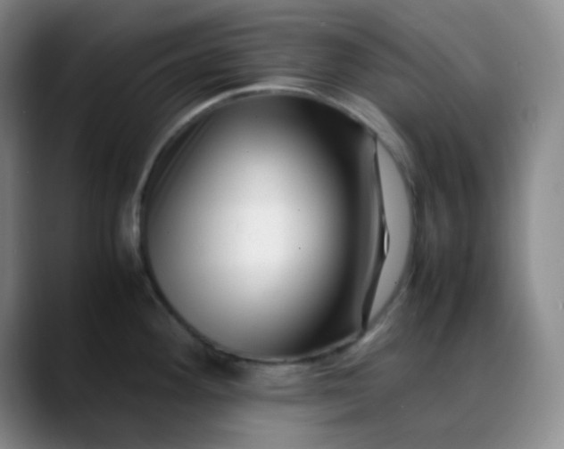 X0000088701292200706141423