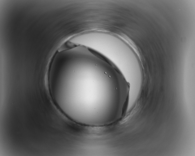 X0000088701293200706141423