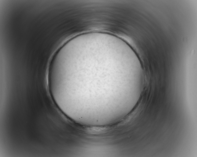 X0000088701294200706141423
