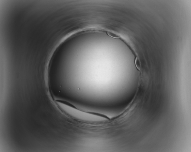 X0000088701295200706141423
