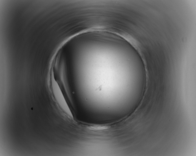 X0000088701296200706141423