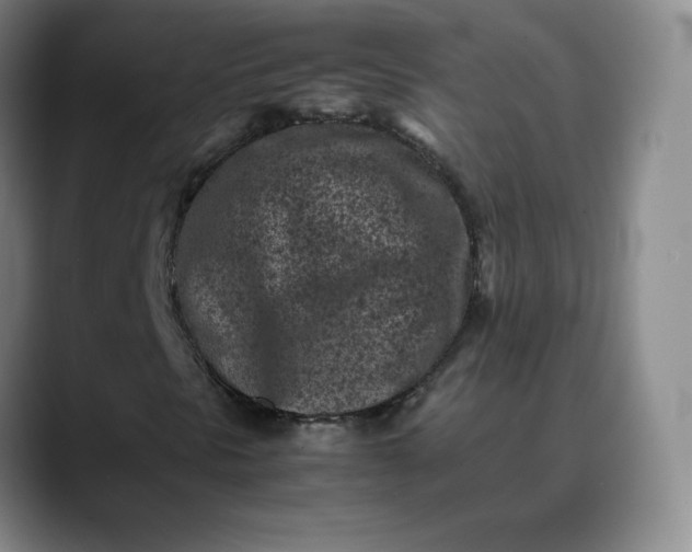 X0000088701297200706141423