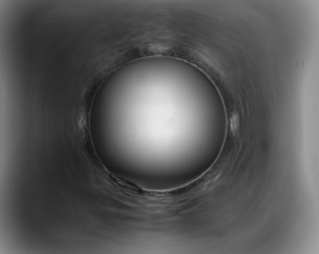 X0000088701299200706141423