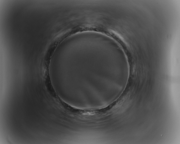 X0000088701303200706141423