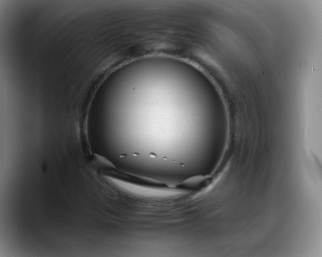 X0000088701305200706141423