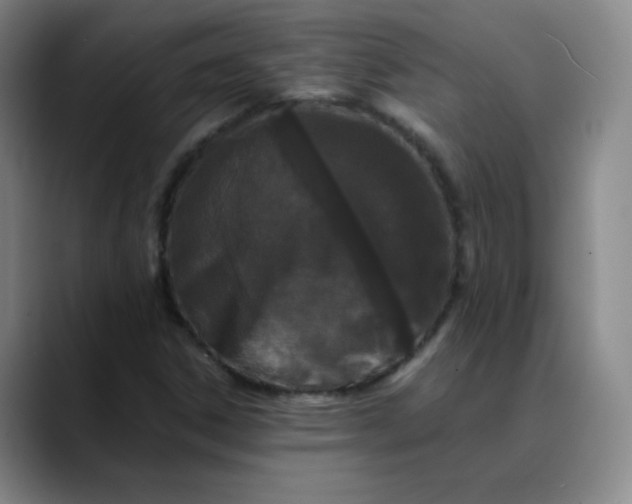 X0000088701306200706141423