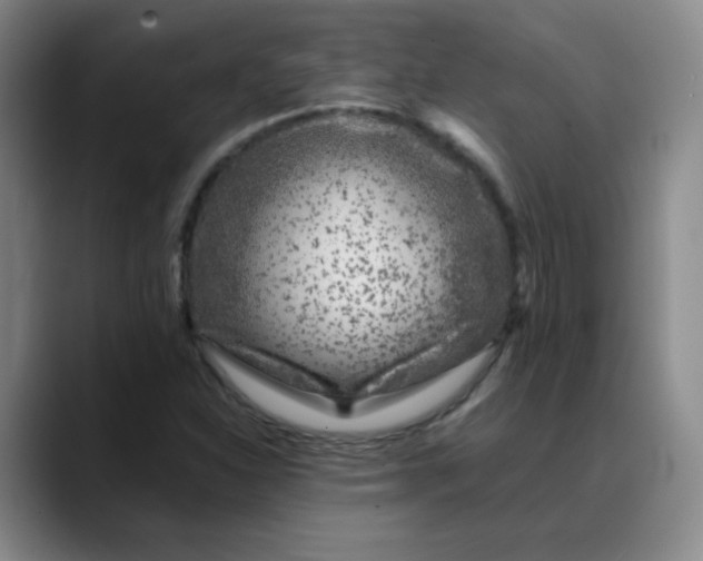 X0000088701310200706141423