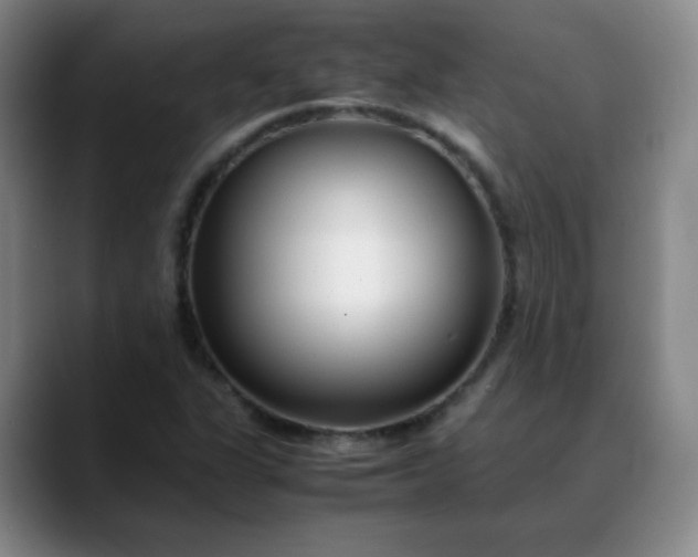 X0000088701311200706141423