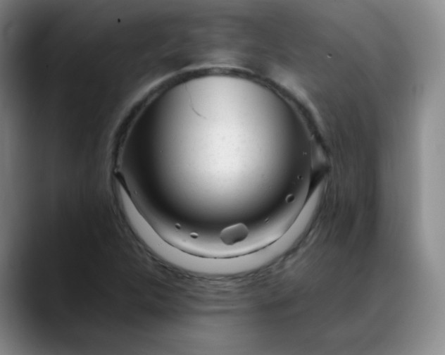 X0000088701312200706141423