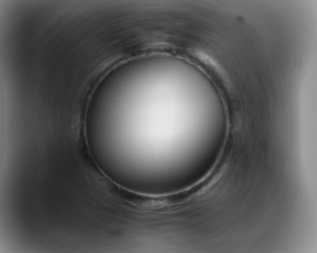 X0000088701313200706141423