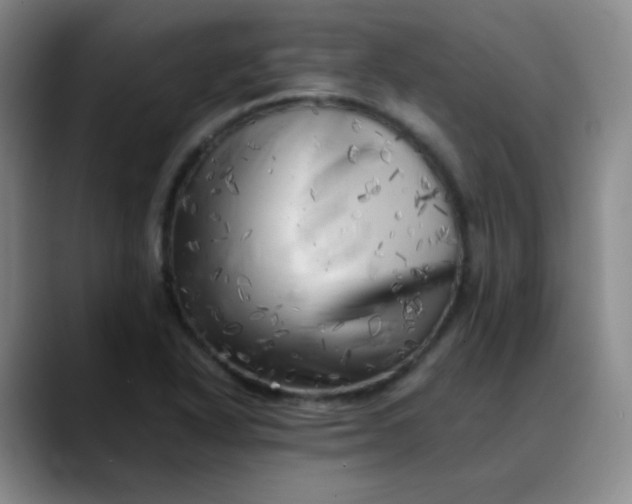 X0000088701318200706141423