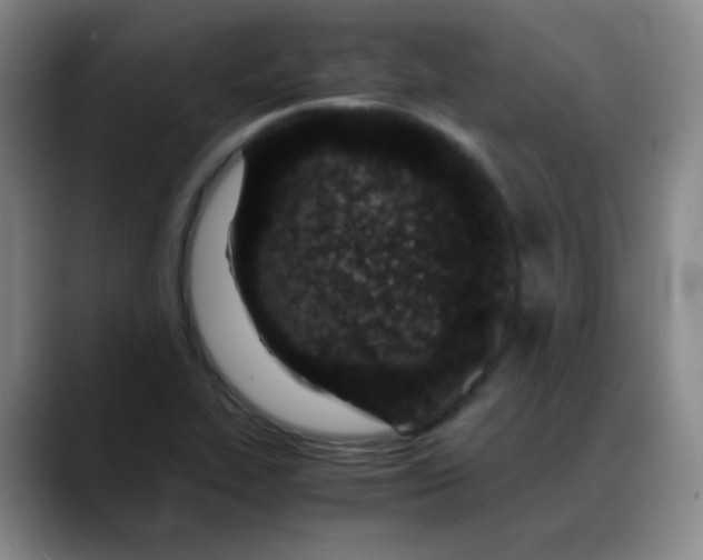 X0000088701319200706141423