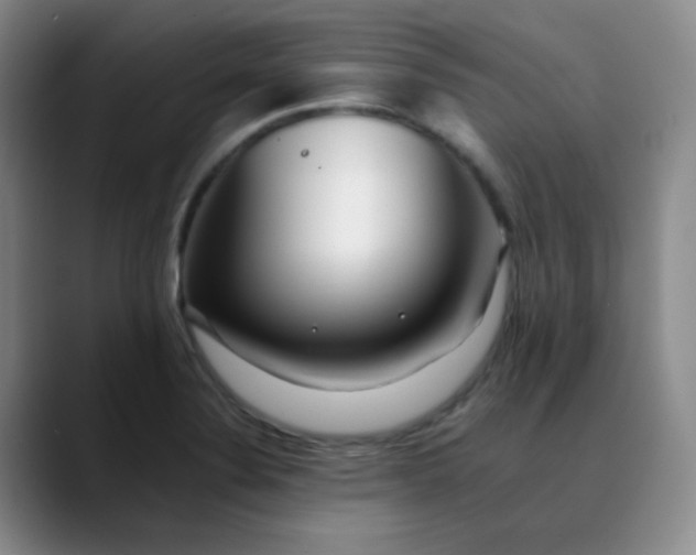 X0000088701324200706141423