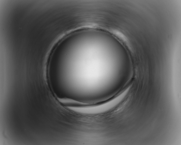 X0000088701326200706141423