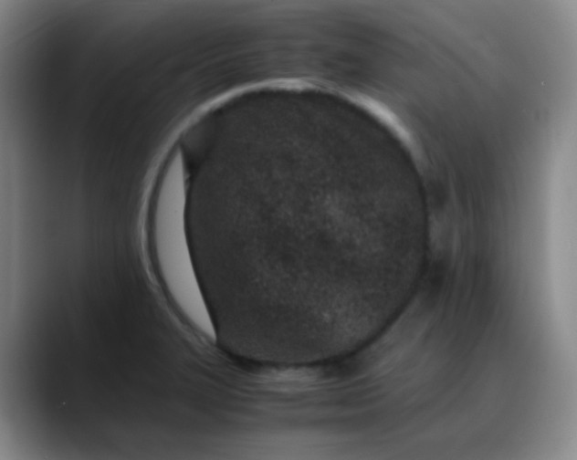 X0000088701327200706141423