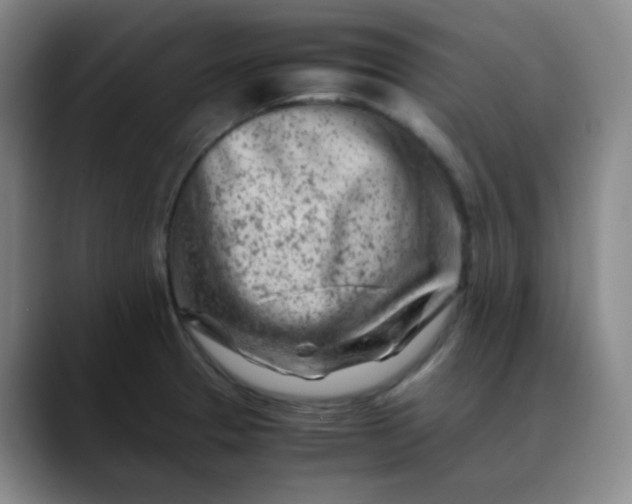 X0000088701329200706141423