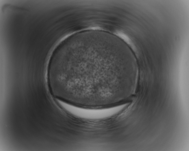 X0000088701331200706141423