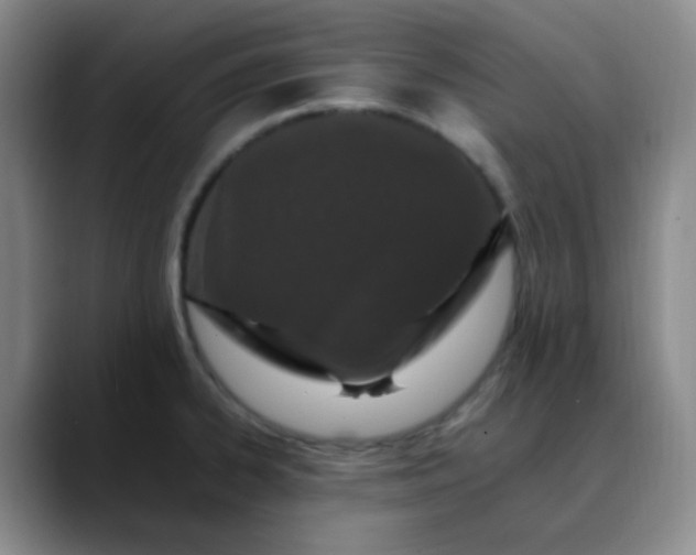 X0000088701334200706141423