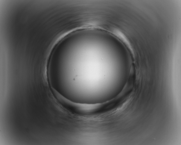 X0000088701336200706141423