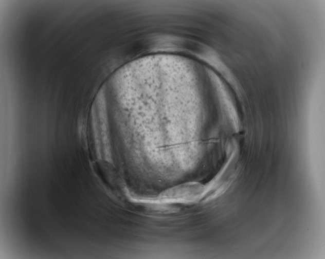 X0000088701337200706141423