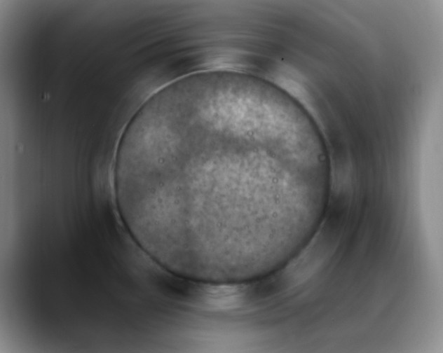 X0000088701338200706141423