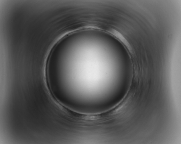 X0000088701339200706141423
