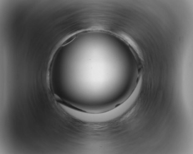 X0000088701340200706141423