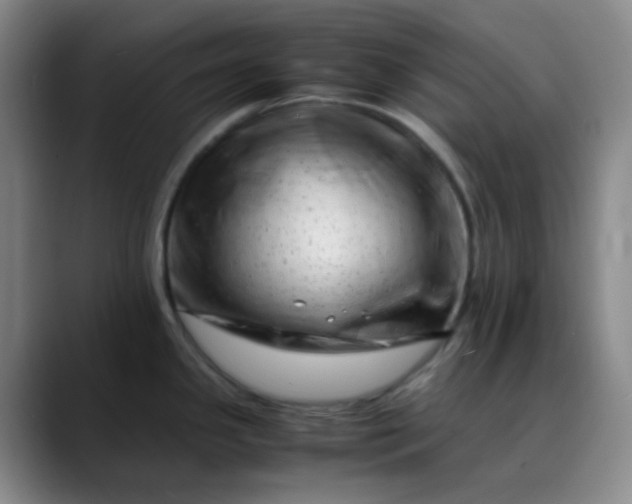 X0000088701341200706141423